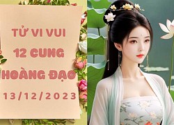 Tử vi vui 12 cung hoàng đạo thứ 4 ngày 13/12/2023: Bọ Cạp sai 1 li đi 1 dặm, Ma Kết mắc chứng OCD