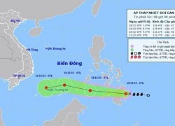 Bão Jelawat suy yếu thành áp thấp nhiệt đới