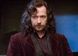 Gary Oldman: Loạt phim "Harry Potter" và "Batman" đã cứu tôi