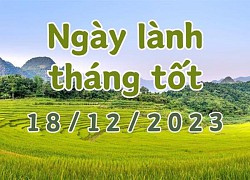 Xem ngày lành tháng tốt 18/12/2023: Đây là ngày xấu, không làm bất cứ việc lớn gì vào hôm nay