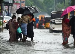 Ấn Độ: Mưa lớn làm tê liệt nhiều vùng tại bang Tamil Nadu