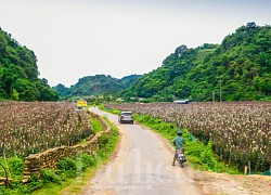 Đến 'Suối có vàng' trải nghiệm giấc ngủ trong mây gió