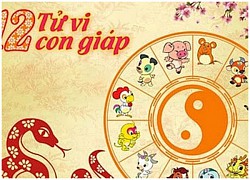 Dự đoán ngày mới 17/10/2023 cho 12 con giáp: Mùi phát lộc, Tỵ hao tài