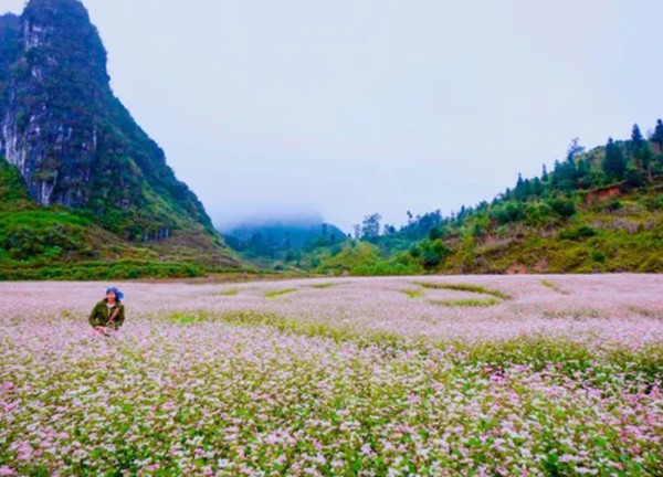 Ngắm nhìn cao nguyên đá nở hoa trên mảnh đất Hà Giang