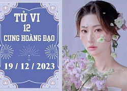 Tử vi vui 12 cung hoàng đạo ngày 19/12: Thiên Bình bi quan, Song Ngư cố chấp