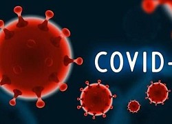 Bộ Y tế thông tin về biến thể JN.1 của virus SARS-CoV-2