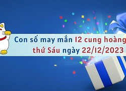 Con số may mắn hôm nay 12 cung hoàng đạo ngày 22/12/2023