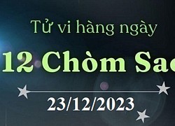 Tử vi 12 cung hoàng đạo ngày 23/12: Song Tử cẩn thận mất tiền, Song Ngư may mắn