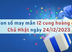 Con số may mắn hôm nay 12 cung hoàng đạo ngày 24/12/2023