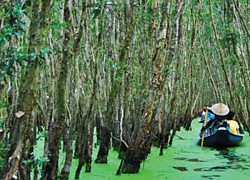 Lạc lối ở Trà Sư