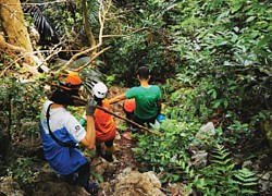 Lạc vào động tiên