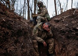 Tình báo Anh: Quân đội Ukraine bị chuột "tấn công"