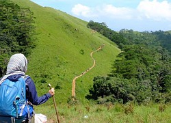 Top 8 cung đường Trekking đẹp nhất Việt Nam