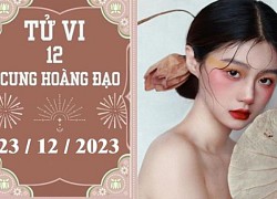 Tử vi vui 12 cung hoàng đạo ngày 23/12: Bạch Dương may mắn, Ma Kết chậm trễ