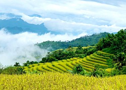 Khuổi My - "Nàng thơ" của thành phố Hà Giang