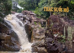 Kỳ thú Suối Mỡ