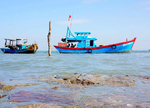 Một ngày vi vu 'ốc đảo xanh' Cần Giờ