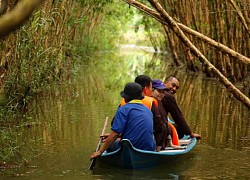 Về Cà Mau khám phá khu du lịch sinh thái Hoa Rừng U Minh