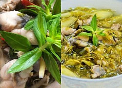 3 món canh chua ếch ngon đậm đà, hương vị siêu 'cuốn' từ lần nếm thử đầu tiên