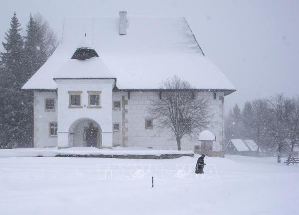 Bão tuyết hoành hành tại Slovakia khiến giao thông hỗn loạn