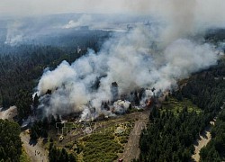 Chile 'báo động đỏ' về nguy cơ cháy rừng tại miền Nam và miền Trung