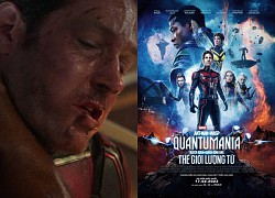 Người kiến Scott Lang sẽ hy sinh trong 'Ant-Man 3'?