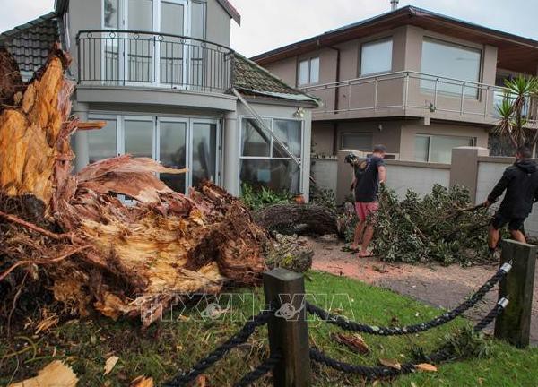 New Zealand ban bố tình trạng khẩn cấp toàn quốc do thiên tai