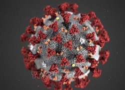 Nga phát triển xét nghiệm đồng thời phát hiện 8 loại virus hô hấp cấp tính