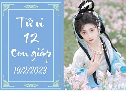 Tử vi vui hôm nay 19/2/2023 của 12 con giáp