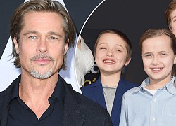 Brad Pitt giới thiệu tình mới với 6 con, mặc kệ thái độ của vợ cũ Angelina Jolie