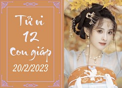 Tử vi vui hôm nay 20/2/2023 của 12 con giáp