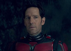 'Ant-Man and The Waps: Quantumania' công phá phòng vé trong tuần đầu ra rạp