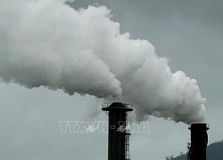 Hội thảo ASEAN về khử carbon trong lĩnh vực nông - lâm - nghiệp