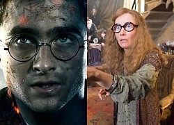 Loạt giả thuyết khó tin nhưng có thể thay đổi Harry Potter mãi mãi: Nam chính và phản diện là anh em ruột?