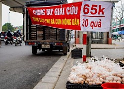 Tràn ngập vỉa hè Hà Nội: 'Giải cứu' trứng gà giá 65.000đ/30 quả