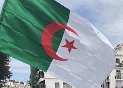 Algeria mở lại Đại sứ quán tại Kiev sau 1 năm đóng cửa