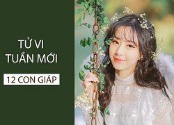 Tử vi tuần mới 12 con giáp từ 27 - 5/3: Mùi, Tỵ đề phòng vận xui bủa vây