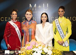 Fanpage Miss Universe Vietnam nhận "bão" phẫn nộ sau ồn ào tên gọi, bị chê khi dùng hình ảnh có sẵn?