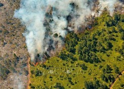 'Giặc lửa' thiêu rụi gần 3.600 ha rừng của Cuba