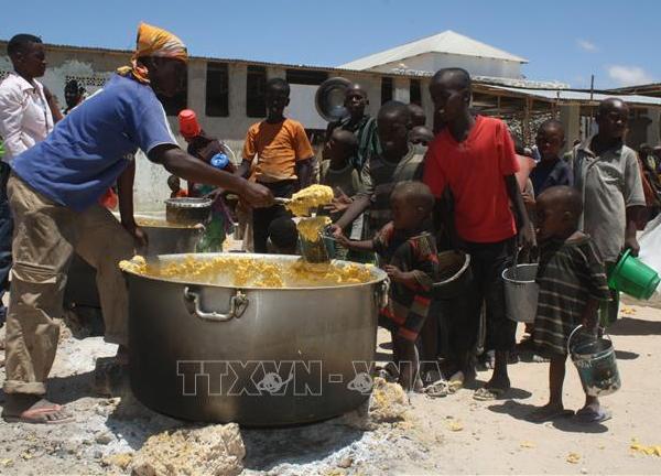 Liên hợp quốc cảnh báo về nạn đói nghiêm trọng ở Somalia