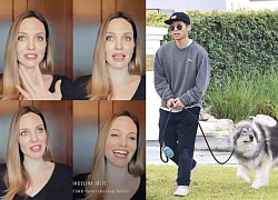 Pax Thiên bất ngờ lộ diện đầy xót xa, Angelina Jolie bất ngờ bị vợ cũ Brad Pitt "vỗ mặt" ê chề