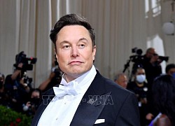 Tỷ phú Elon Musk tham gia cuộc đua phát triển đối thủ ChatGPT