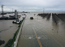 Bão mạnh tiếp tục gây mưa, tuyết tại bang California (Mỹ)