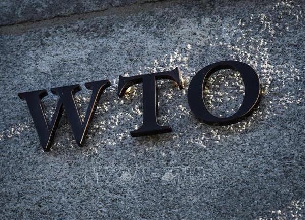 Nga không có kế hoạch rút khỏi WTO