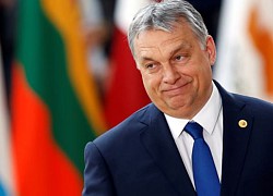 Phần Lan vượt cửa khó, được Hungary phê chuẩn gia nhập NATO