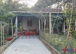 Vụ thầy giáo giao cấu nữ sinh: Tạm giữ thêm hàng xóm 68 tuổi