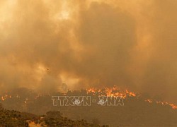 Cảnh báo về sự suy giảm tầng ozone