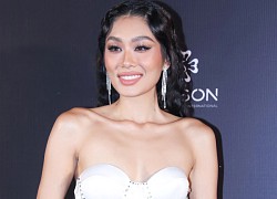 Thảo Nhi Lê chính thức lên tiếng: "Tôi thấy thất vọng nếu không được thi Miss Universe"