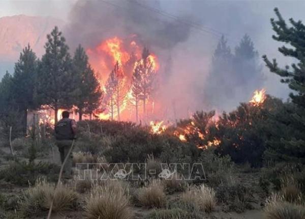 Cháy rừng tại Argentina do nắng nóng, hạn hán kéo dài