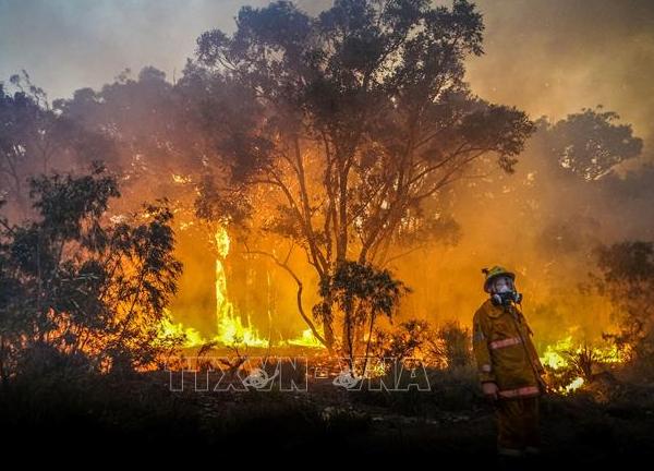 Nhiều bang tại Australia ban hành lệnh cấm đốt lửa tránh nguy cơ hỏa hoạn